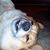 Cheryl Mitchell's profile image