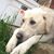 Kitty Roop Owings's profile image