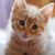 Mary Hlad's profile image