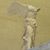 Jane Barrigan Jess's profile image