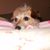 Bellia Peckson's profile image
