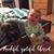 Tammy Gipson's profile image