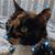 Sandi Canavero's profile image