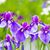 Marsha Kay's profile image