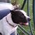 Janett Firebaugh's profile image