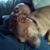 Melissa Homa Garlough's profile image