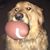 Sandy Ward's profile image