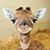 Marc Lavoie's profile image