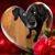Nicole Allemore's profile image