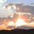 Dale Lynne Smith's profile image