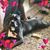 Gena Moody Allen's profile image