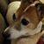 Teresa Holton's profile image