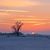 Lorinda Groe's profile image