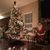 Cindy Antonucci Paras's profile image