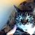 Karen Chaffin's profile image