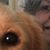 Jeanette Swor's profile image