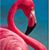 Dawn Atkins's profile image