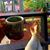 Sheila Morrison's profile image