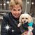 Deb Ross Myers's profile image