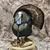 Strenfel's Taxidermy's profile image