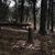 Kim Dauel Huffington's profile image