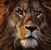 Jim Fritts's profile image