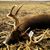 Justin Miller's profile image