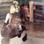 Cristina Tia Delugo's profile image