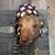 Roxanne King's profile image