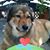 Debbie Hoeflinger's profile image