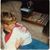 Carol Blackburn's profile image