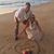 Twila Lewis's profile image