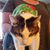 Diane Legat Schoenwald's profile image