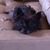 Annet Wollan's profile image