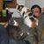 Kelly Pedersen's profile image