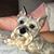 Holly Hicks Diggs's profile image