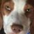 Eric Reed's profile image