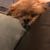 Linda Galvin's profile image