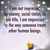 Shaleta Sultan Smith's profile image