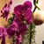 Berta Clavijo's profile image