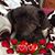 Wendy Brown Haselton's profile image