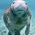 Kyle Maybee Minteer's profile image