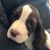 Robert Reilly's profile image