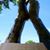 Lisa Lanette Hicks's profile image
