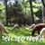 Judy Staneart's profile image
