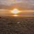 Pamela Mcdonald's profile image