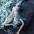 Cheryl Torrey-hurd's profile image