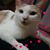 Yasuda Manami's profile image