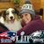 Jennifer Crowell's profile image