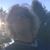 Tracie Craig Wells's profile image